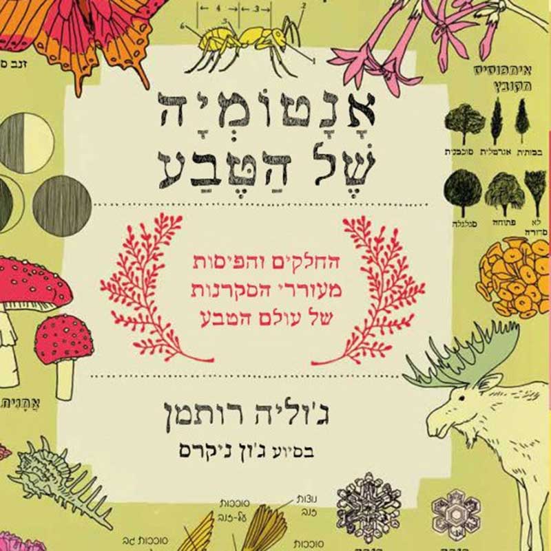 תמונה ממוזערת 1